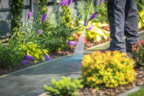 Best Restaurant Pressure Washing  in Imperial, CA